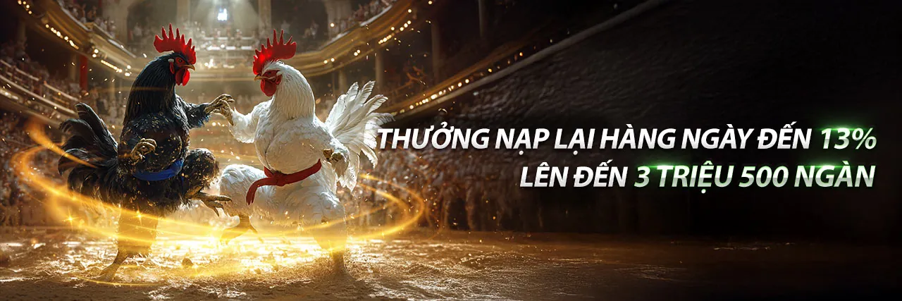 Blog Vwin88: Nguồn thông tin cá cược uy tín
